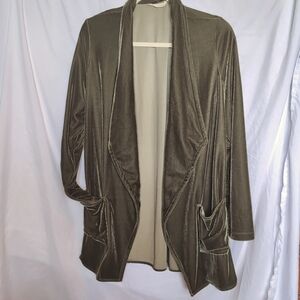 Soft Surroundings Velvet Blazer
